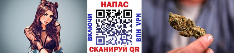 Все наркотики Зеленогорск ГАШИШ  Псилоцибиновые грибы  КОКАИН  Меф  Бошки Шишки 